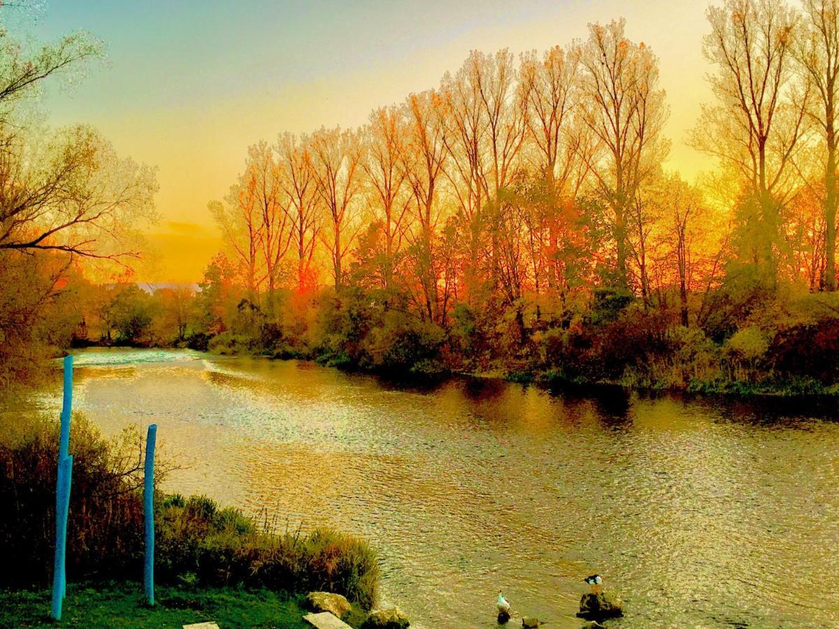 Rhein Romantik Riverview คอนสตานซ์ ภายนอก รูปภาพ