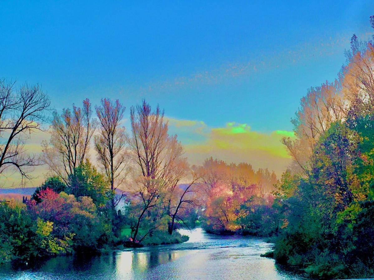 Rhein Romantik Riverview คอนสตานซ์ ภายนอก รูปภาพ